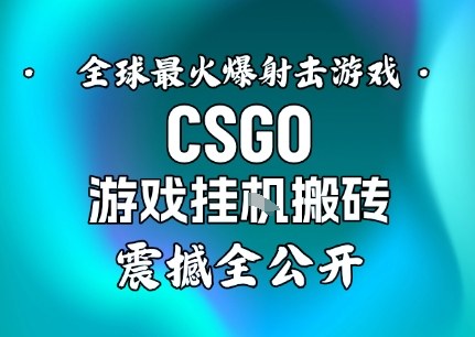 【年底大揭秘】基于全球最火爆的射击CSGO游戏挂G搬砖，日入5张+，震撼公开-副业心选