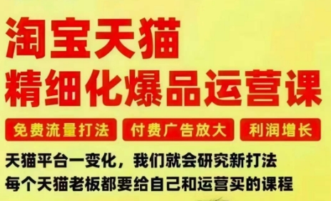 淘宝天猫精细化爆品运营课，免费流量打法-付费广告放大-利润增长-三大核心痛点，一次全部解决-副业心选