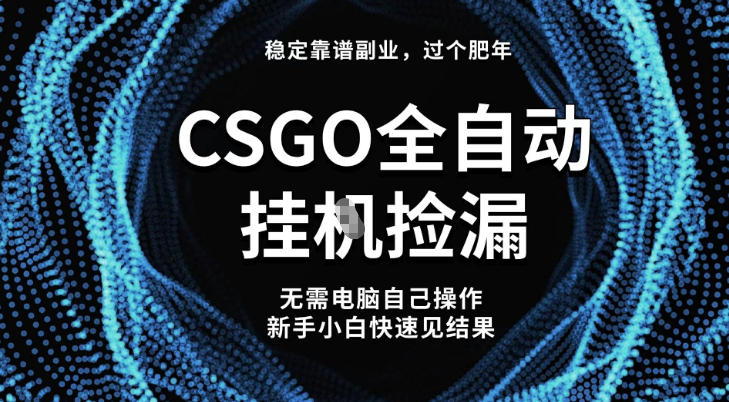 【稳定副业】全球最热门游戏CSGO全自动捡漏，最新玩法，新手小白日入5张+【揭秘】-副业心选