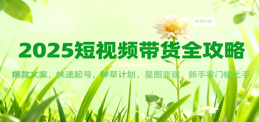 2025短视频带货全攻略：爆款文案，快速起号，种草计划，星图变现，新手零门槛上手-副业心选
