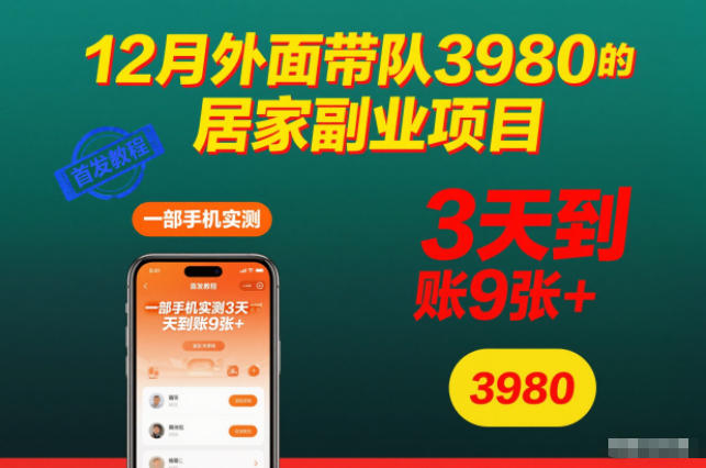 12月外面带队3980的居家副业项目，一部手机实测3天到账9张+，首发教程【揭秘】-副业心选