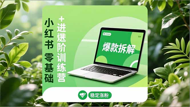 小红书零基础+高阶训练营：安全养号、爆款拆解、长效运营，实现稳定涨粉与变现 - 副业心选-副业心选