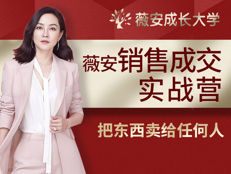 薇安28天销售高手训练营-副业心选