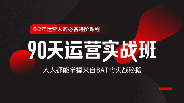 90天运营实战班 掌握BAT秘籍-副业心选