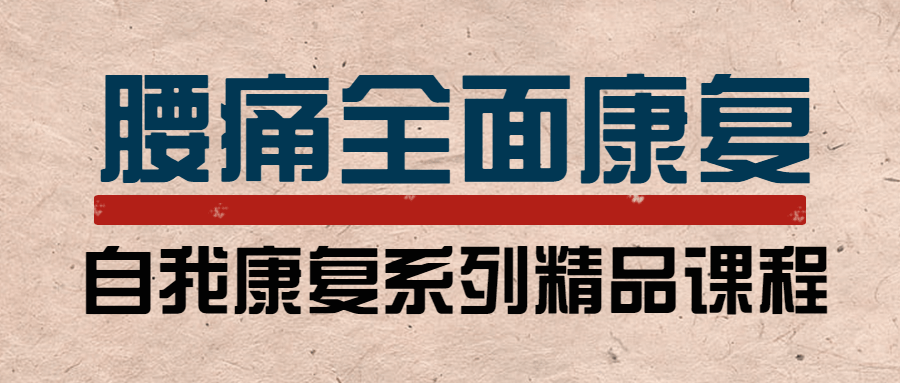 腰痛运动康复：教练与患者必学-副业心选