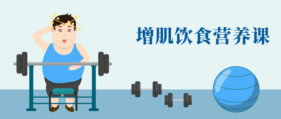 健身增肌饮食营养课-副业心选