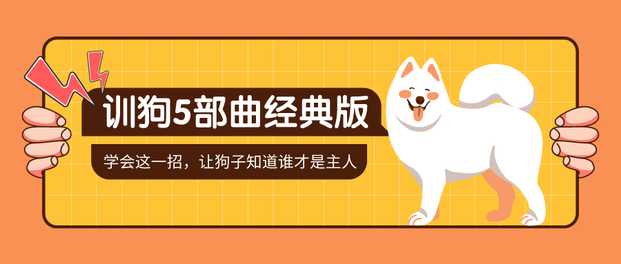训狗五部曲 养狗不再麻烦-副业心选