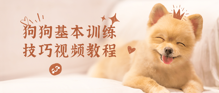狗狗基本训练技巧视频教程 - 副业心选-副业心选