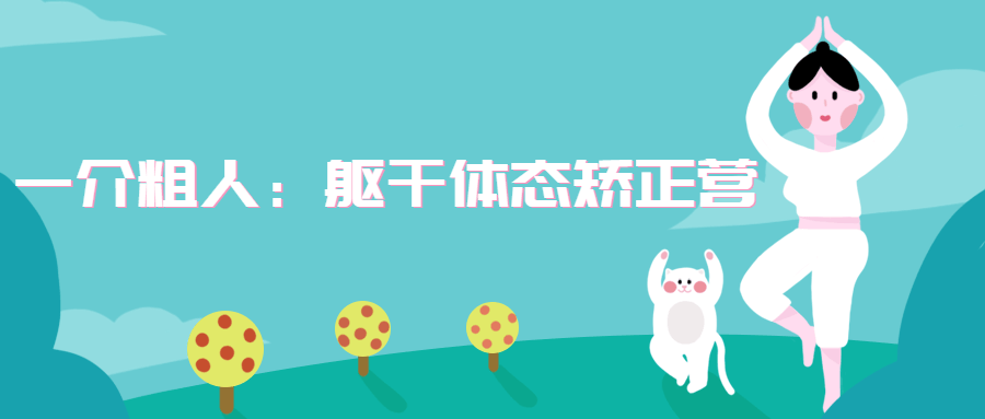 一介粗人：躯干体态矫正营-副业心选