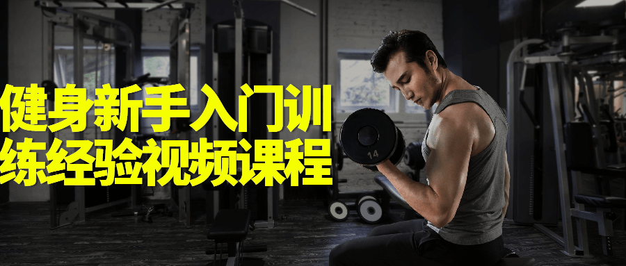 健身新手入门训练经验视频课程-副业心选