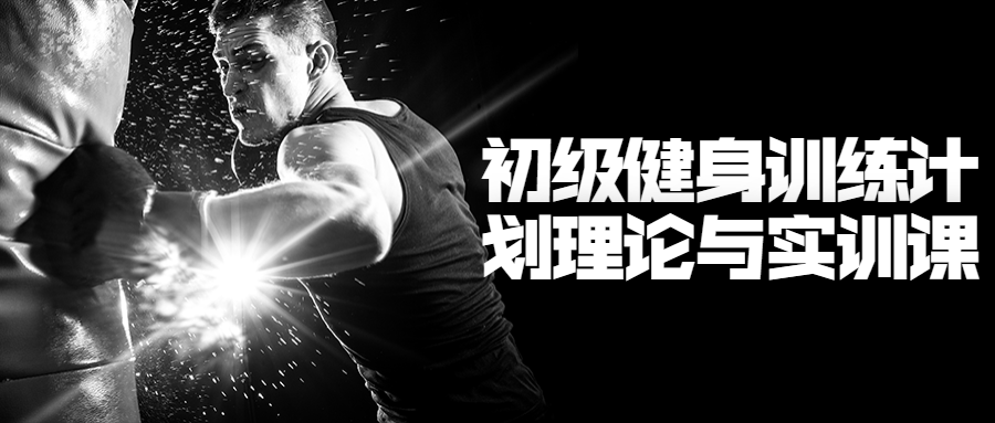 初级健身训练计划理论与实训课-副业心选