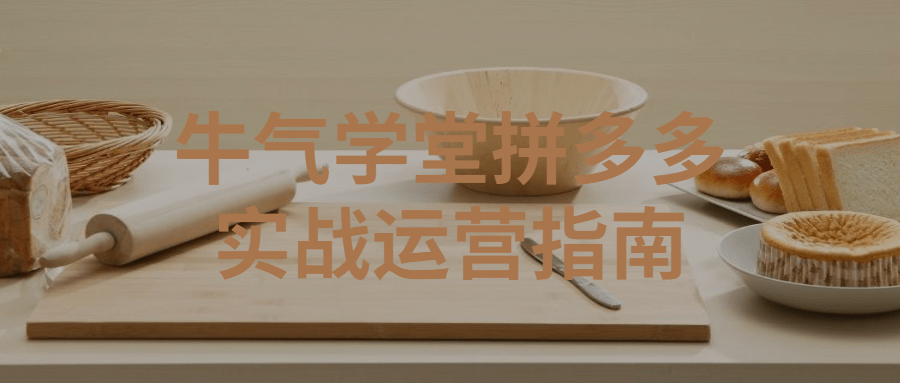 牛气学堂拼多多实战运营指南-副业心选