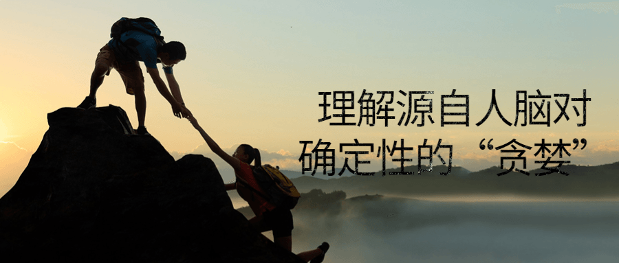 理解源自人脑对确定性的“贪婪”-副业心选