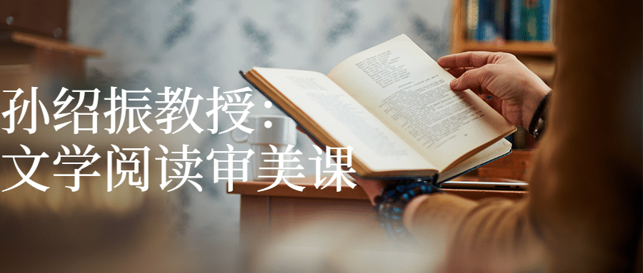 孙绍振教授：文学阅读审美课-副业心选