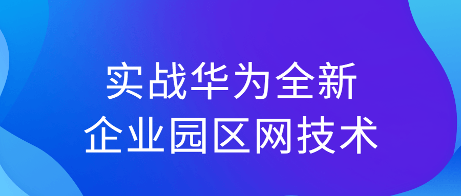 实战华为全新企业园区网技术-副业心选