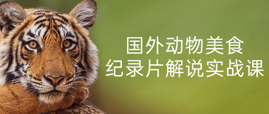 国外动物美食纪录片解说实战课-副业心选