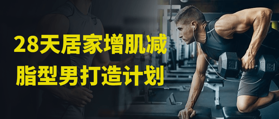28天居家增肌减脂型男打造计划-副业心选