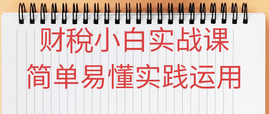 财稅小白实战课简单易懂实践运用-副业心选