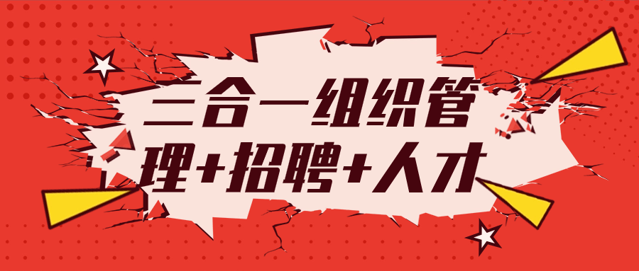 三合一组织管理+招聘+人才-副业心选