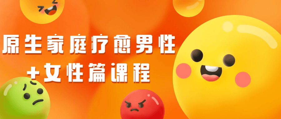 原生家庭疗愈男性+女性篇课程-副业心选