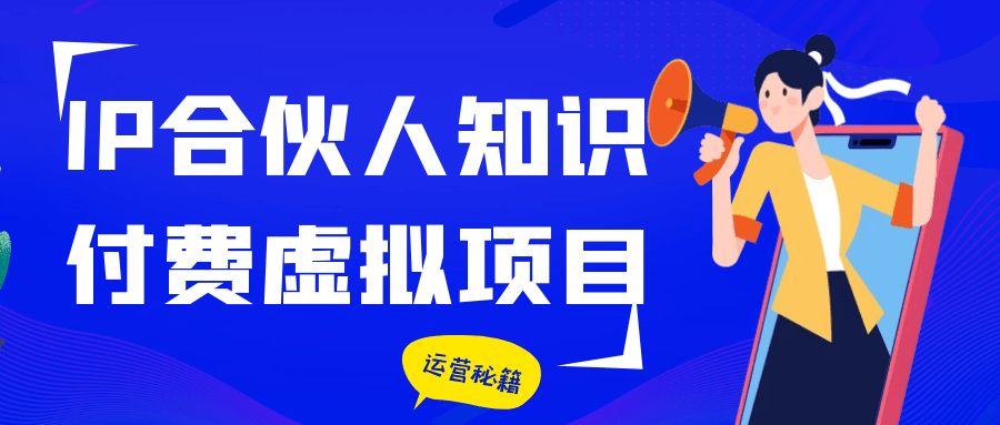 IP合伙人知识付费虚拟项目 - 副业心选-副业心选