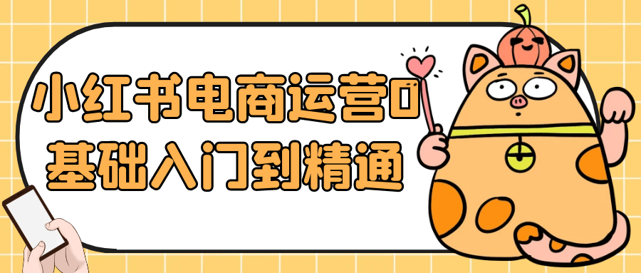 小红书电商运营0基础入门到精通-副业心选