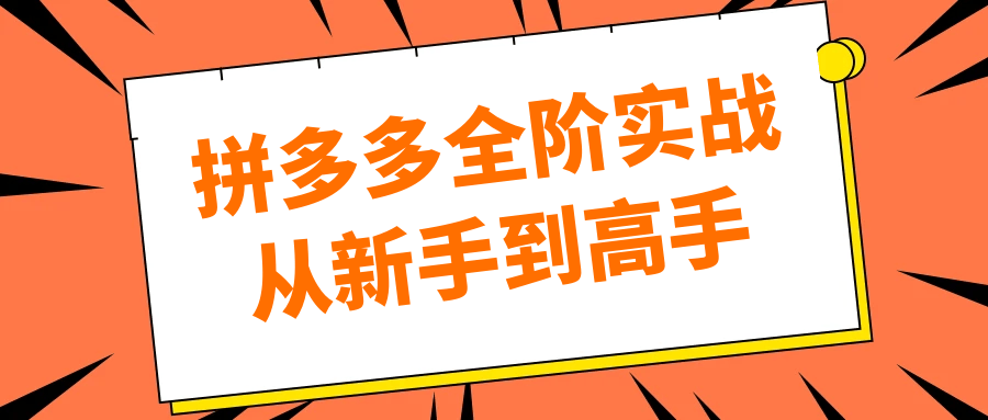 拼多多全阶实战从新手到高手-副业心选