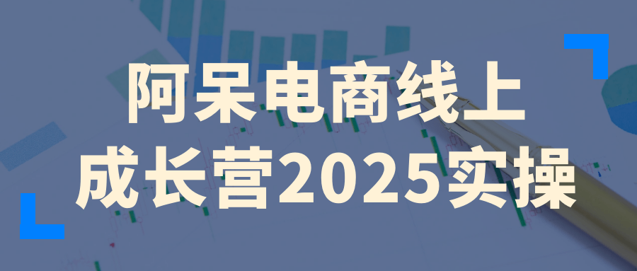 阿呆电商线上成长营2025实操-副业心选