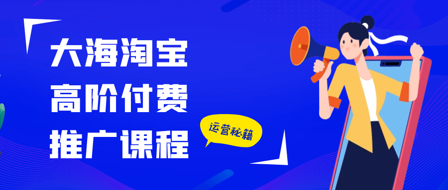 大海淘宝高阶付费推广课程-副业心选