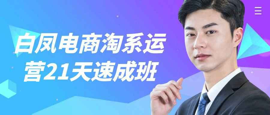 白凤电商淘系运营21天速成班-副业心选