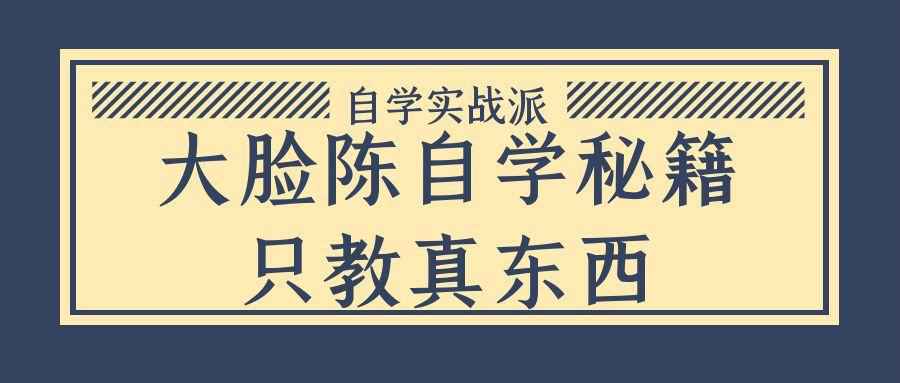 大脸陈自学秘籍只教真东西-副业心选