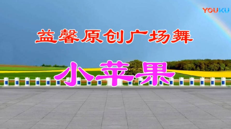 广场舞视频教学500首-副业心选