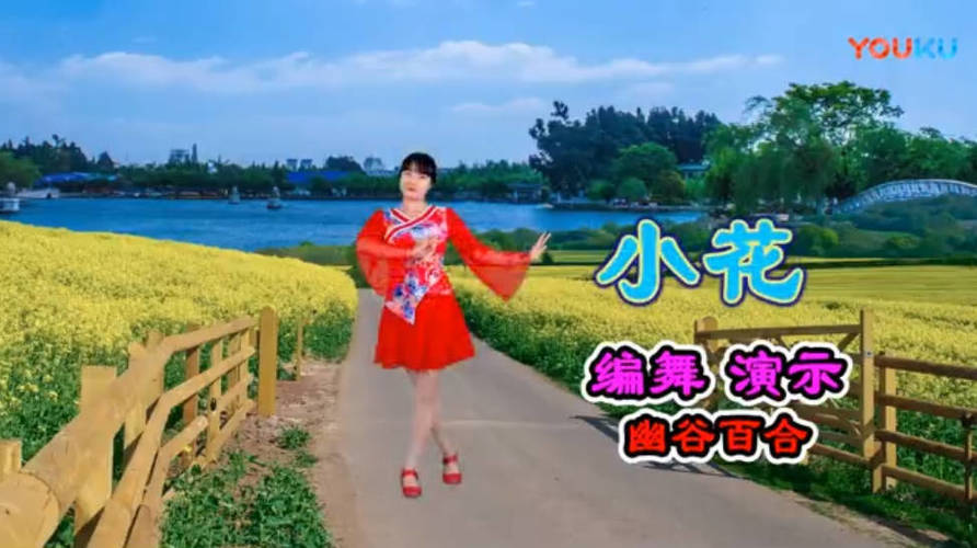 图片[2]-广场舞视频教学500首 - 副业心选-副业心选