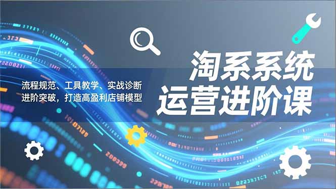 淘系系统运营进阶课2.0，流程规范、工具教学、实战诊断，进阶突破，打造高盈利店铺模型-副业心选