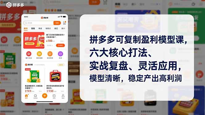 拼多多可复制盈利模型课，六大核心打法、实战复盘、灵活应用，模型清晰，稳定产出高利润-副业心选