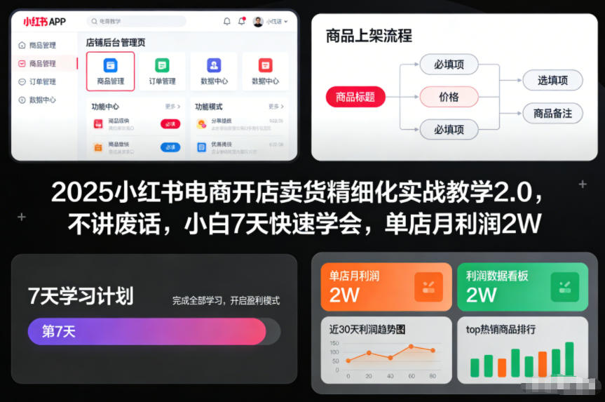 2025小红书电商开店卖货精细化实战教学2.0，不讲废话，小白7天快速学会，单店月利润2W-副业心选