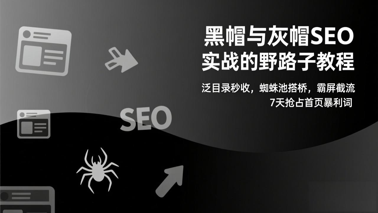 黑帽与灰帽SEO实战的野路子教程：泛目录秒收，蜘蛛池搭桥，霸屏截流，7天抢占首页暴利词 - 副业心选-副业心选