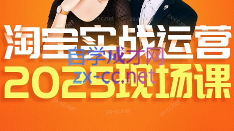 推易·淘宝全套运营现场课程(更新12月)-副业心选