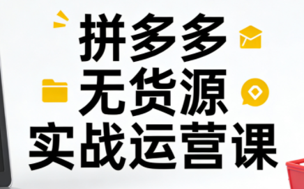 子枫老师·拼多多无货源实战运营课(更新12月)-副业心选