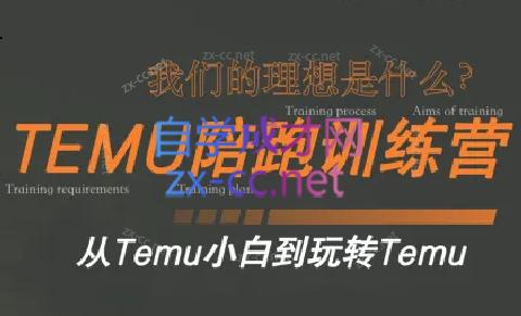 苗苗·拼多多跨境（temu）课程-副业心选
