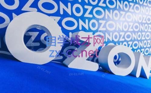 森哥·出海俄罗斯电商实操(2024)-副业心选