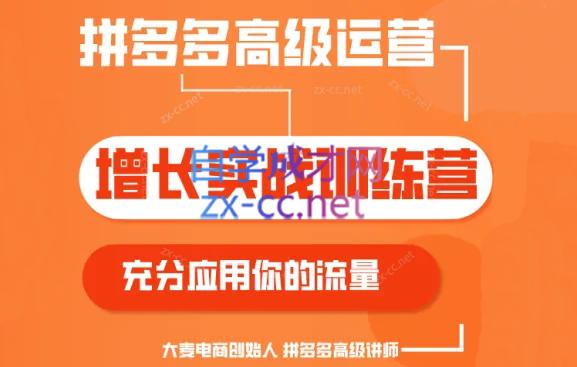 大麦老师·拼多多单品爆款打造课程(更新6月)-副业心选