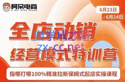 阿呆电商·全店动销经营模式特训营(线下录音+思维导图)-副业心选