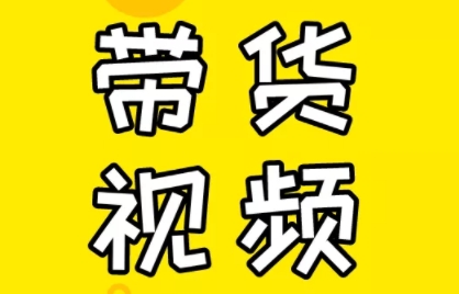 芒果老师·教你做抖音短视频和直播带货-副业心选