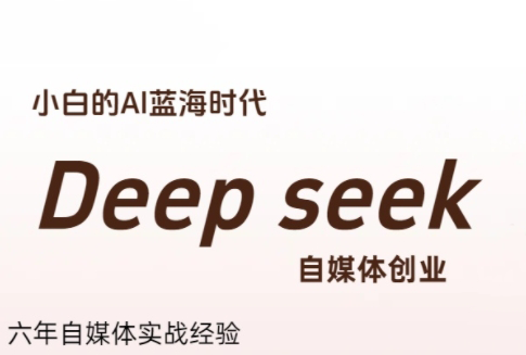 冰冰老师·普通人如何利用Deepseek创业-副业心选