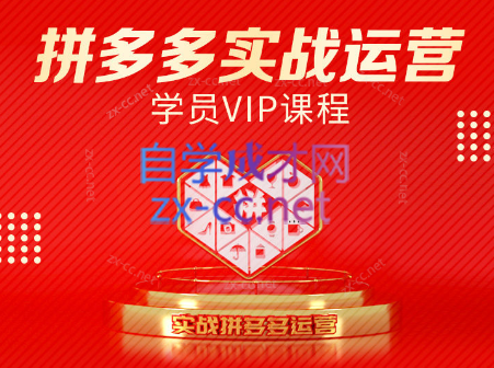 推易电商·拼多多实战运营课(更新2025月)-副业心选