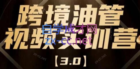 阿蔺Leo·跨境油管视频YouTube实训营(更新2025)-副业心选