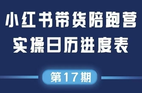 盗坤·抖音小红书视频号短视频带货与直播变现(11-17期)-副业心选