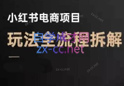 菲菲老师·小红书电商玩法(更新7月)-副业心选