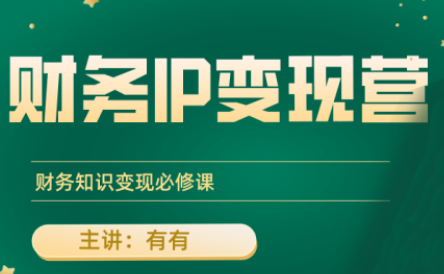 有有老师·财务IP变现营，财务知识变现必修课-副业心选